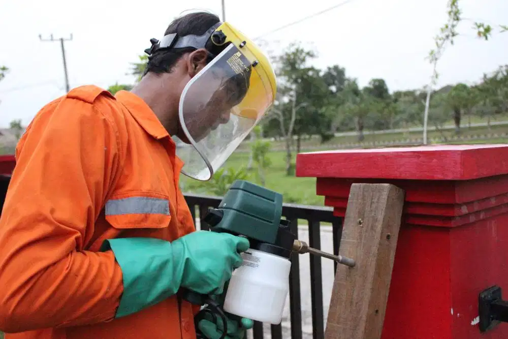 Anti Rayap atau Termite Control  Konstruksi Balikpapan