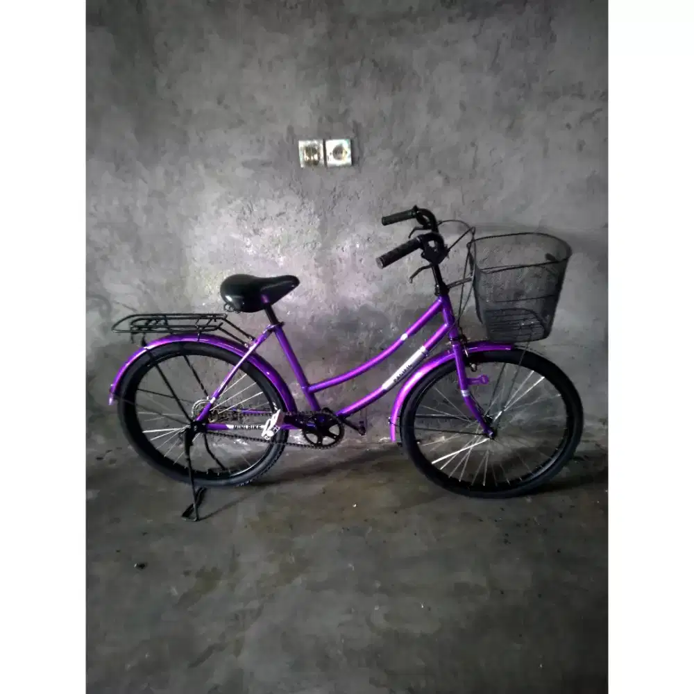 Sepeda mini keranjang 24 mulus mengkilap