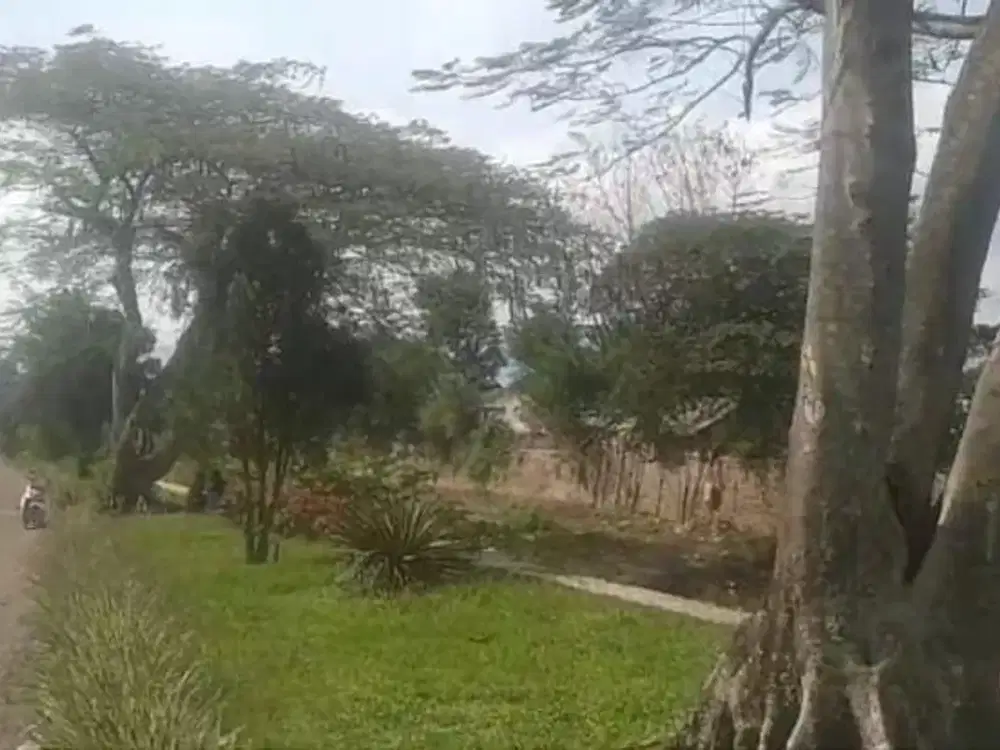 Tanah murah luas 2,2ha dekat TEL-U di cikoneng, bojong soang