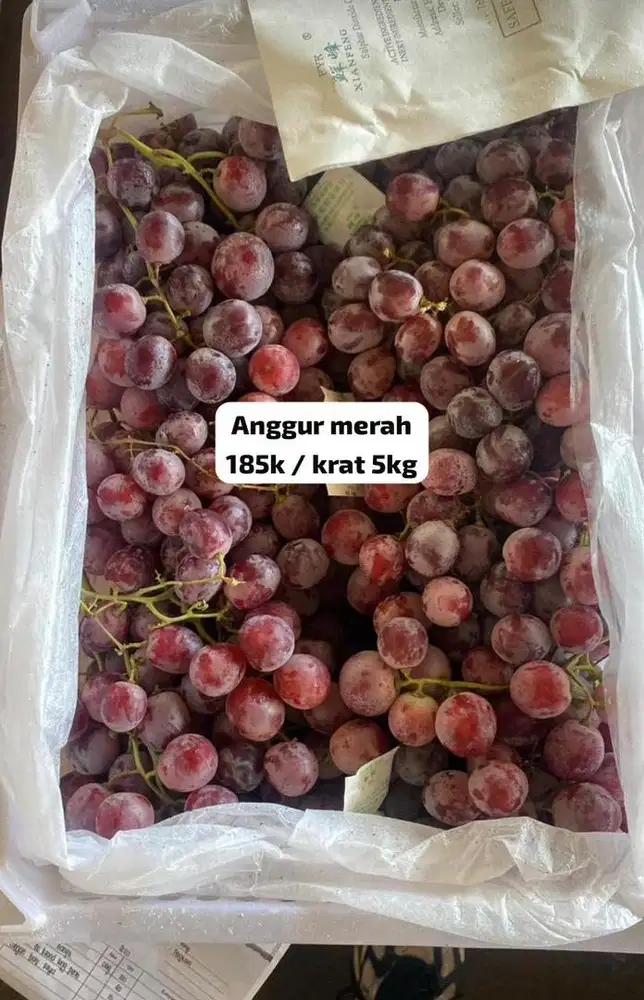 READY aneka Anggur merah per krat