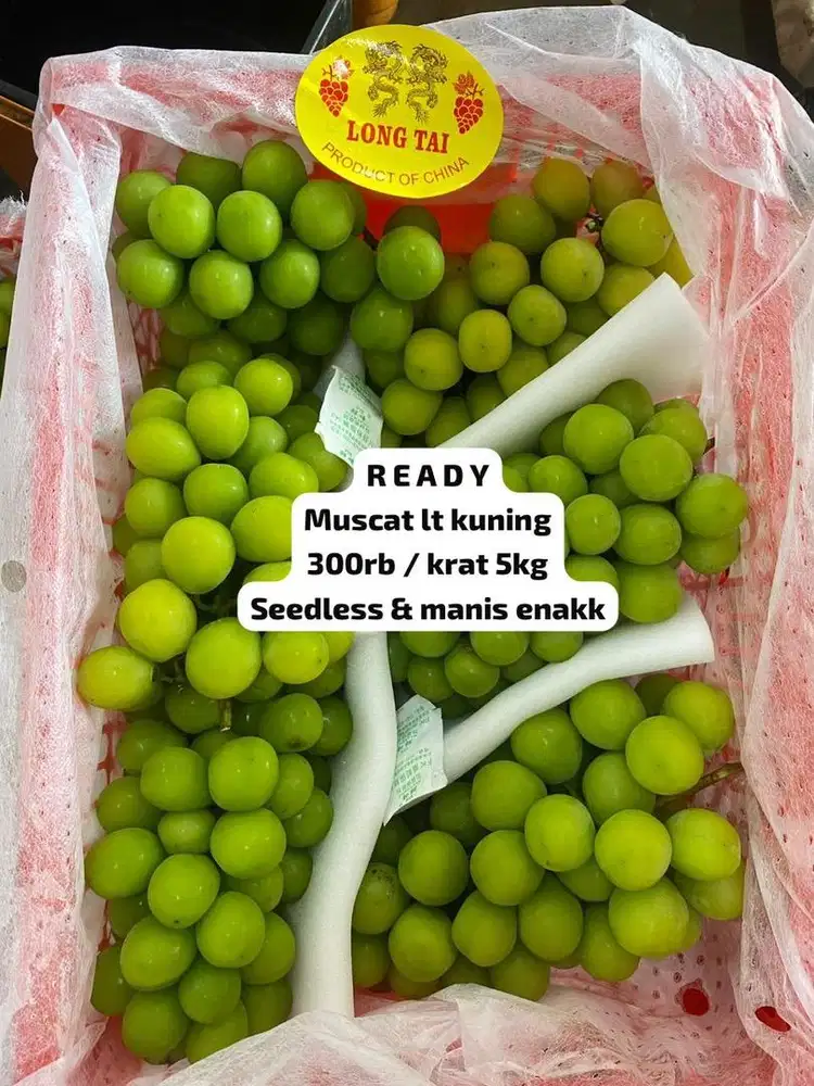 READY - Anggur muscat jumbo - per krat 5kg