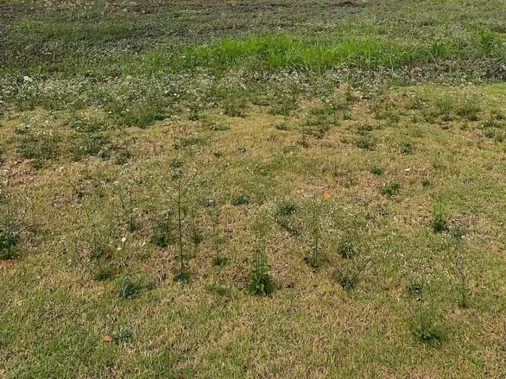 Dijual cepat kavling hadap selatan hunian PIK 2