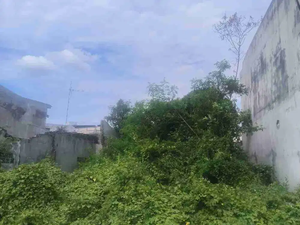 Tanah daan mogot cengkareng luas 119