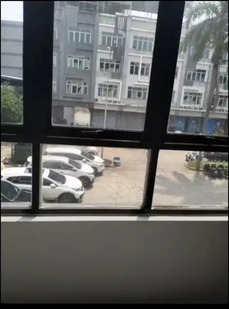 host live sepatu olahraga