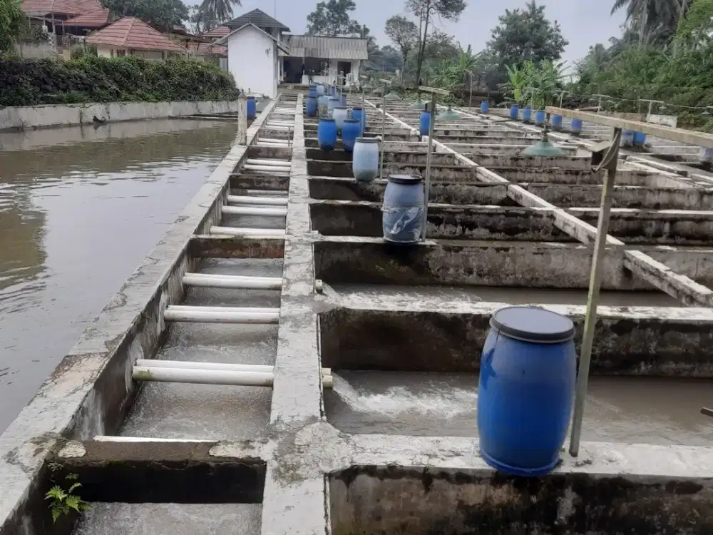 Dijual Kolam ikan air deras 30 jalur Cijambe Subang
