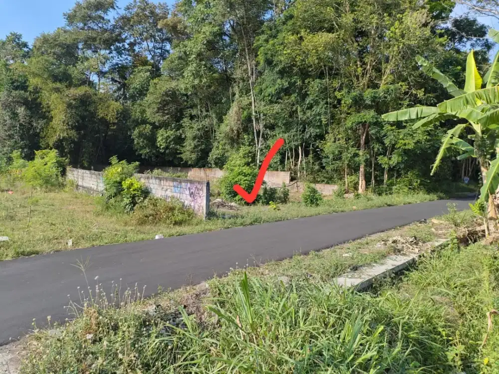 TANAH VIEW SAWAH DI SELOMARTANI KALASAN