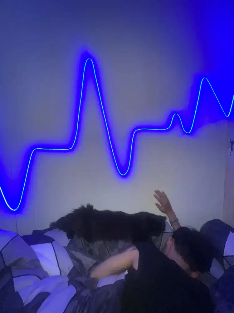 Lepas adopt kucing persia flatnose