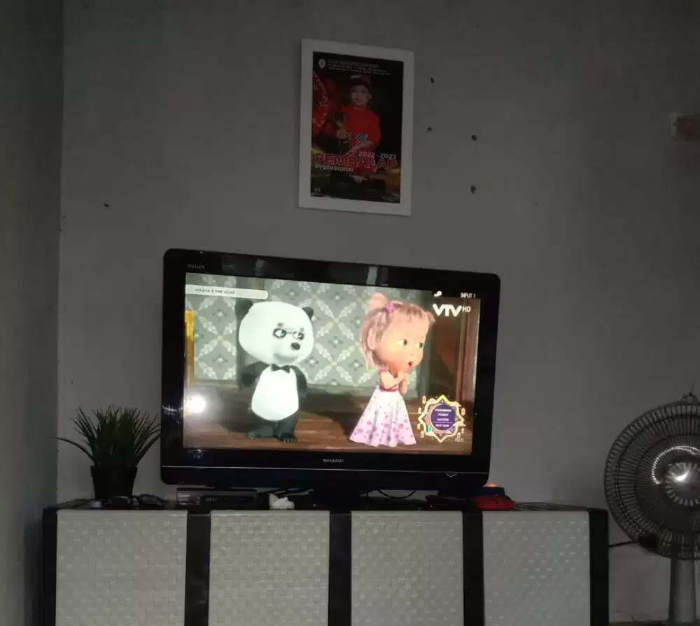 TV SHARP ANALOG 32 inch bonus STB