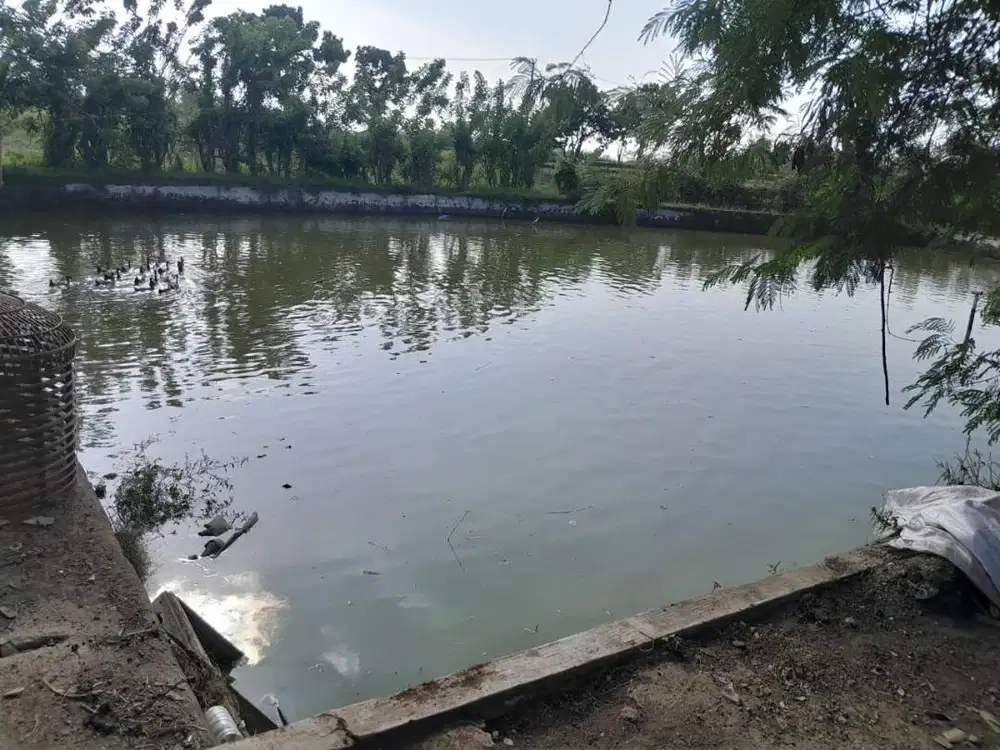 DIJUAL TANAH DAN PEMANCINGAN MURAH