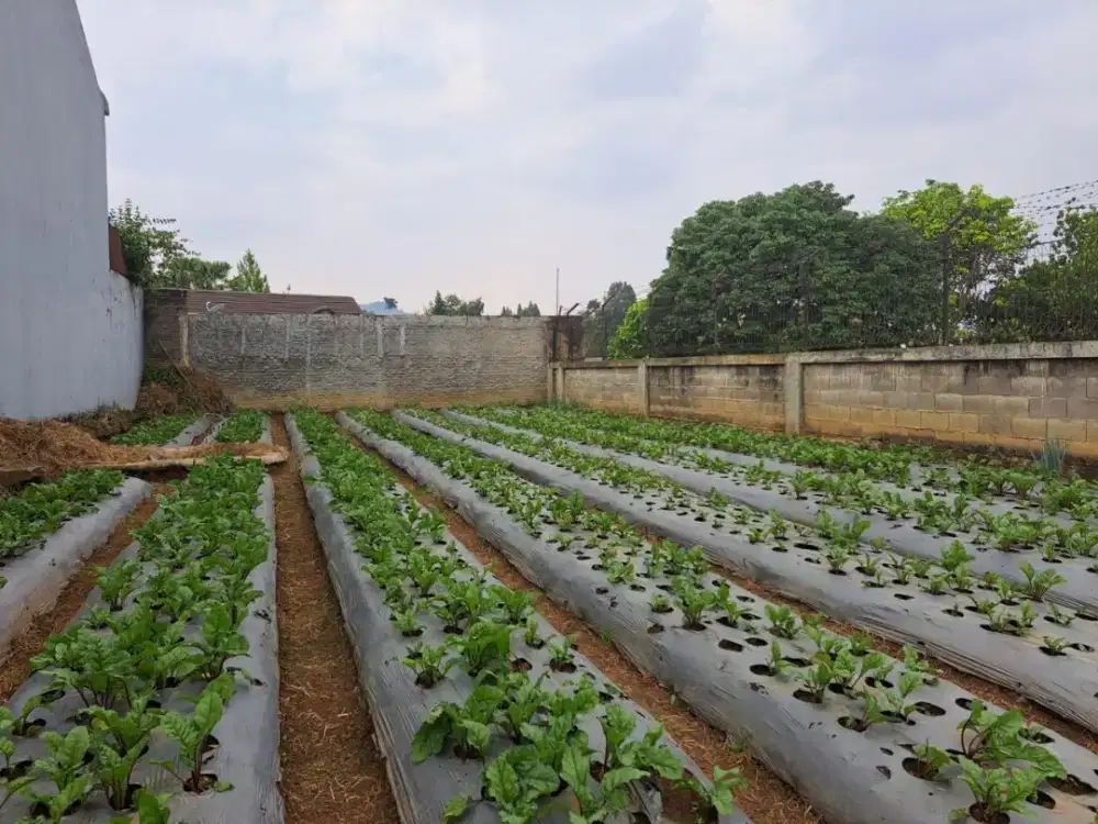 Tanah Istimewa View Kota Bandung Komplek Setiabudi Regency