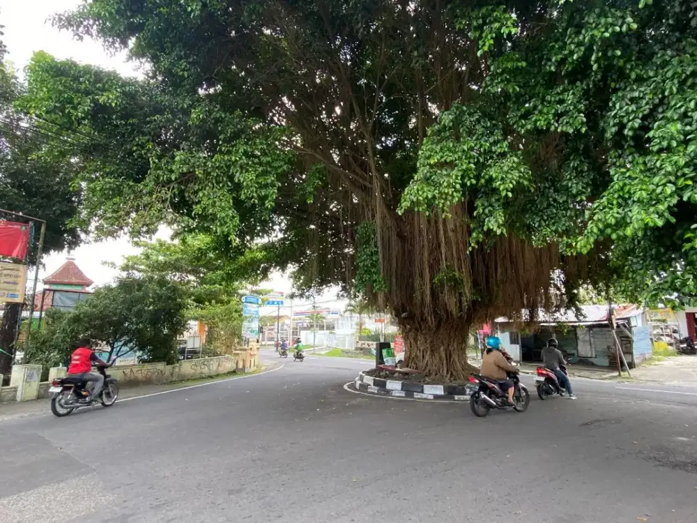 Area Jabung Utara Ringin Pandowoharjo, Tanah SHM