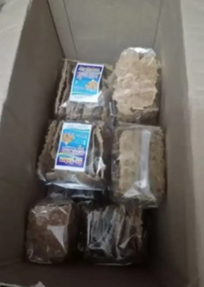 Kripik tempe asli Purwokerto