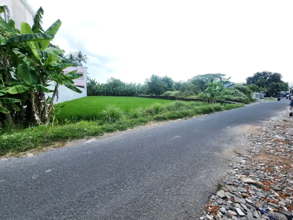 900 meter Stadion Maguwoharjo Tanah Jogja SHM Pekarangan