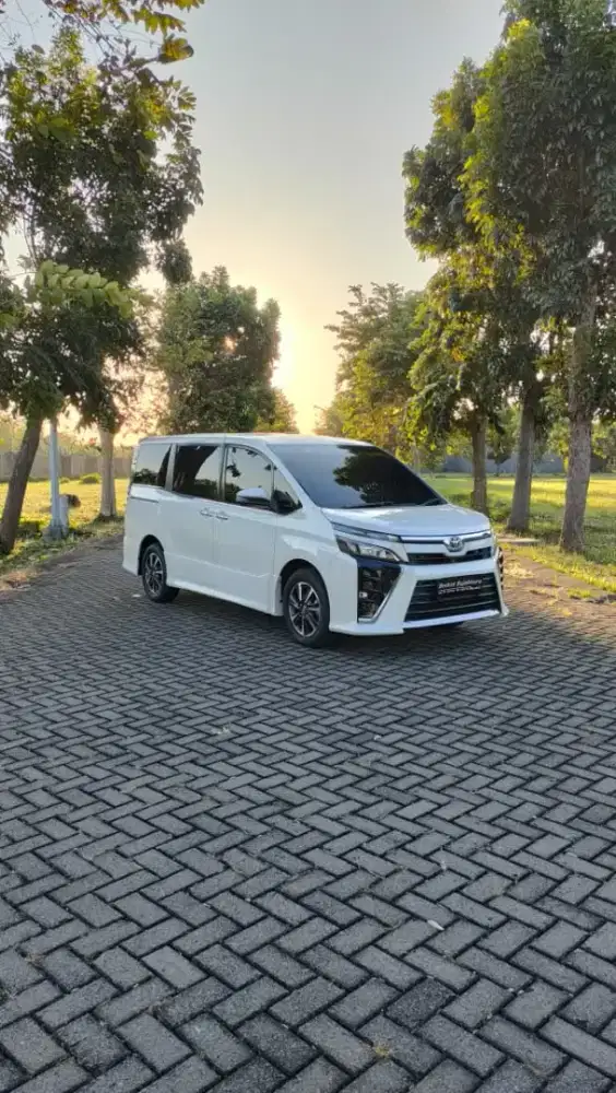 Toyota Voxy 2.0 matic tahun 2018 KM 60rban TDP 25 jt