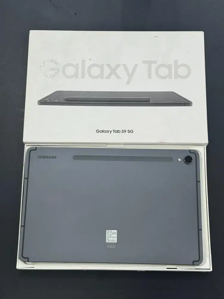 Samsung Tab S9 5G 8/128Gb (SEIN)