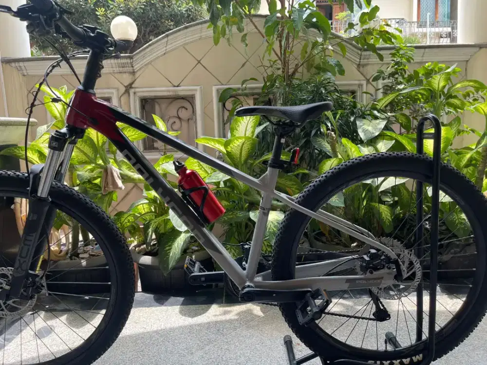 DIJUAL CEPAT Sepeda Polygon Xtrada 5