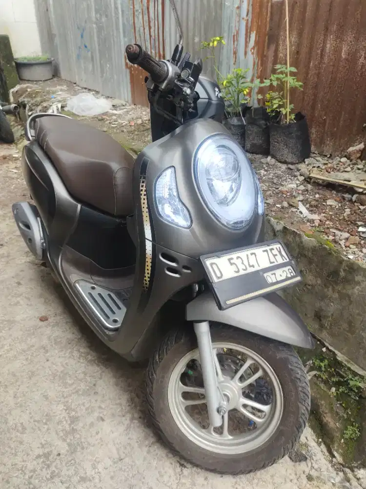 scoopy yahun 2023