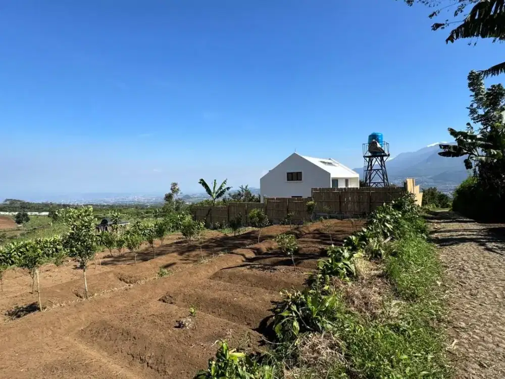 dijual Tanah kebun murah lokasi di bulukerto bumiaji kota batu