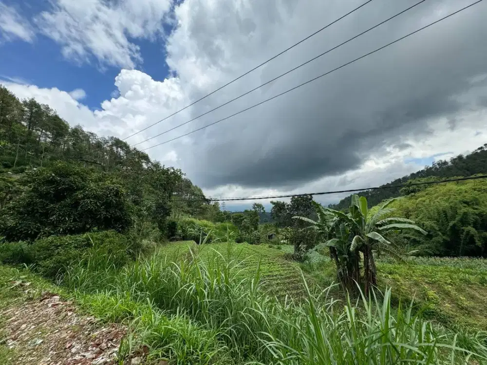 DIJUAL Tanah kota Batu Ada Sumber Mata Airnya