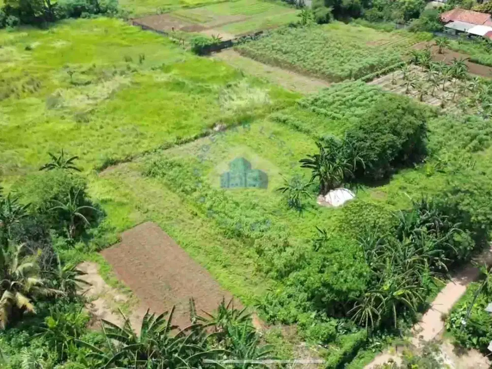 TANAH COCOK UNTUK GUDANG! Dijual Tanah Di Bonang, Tangerang