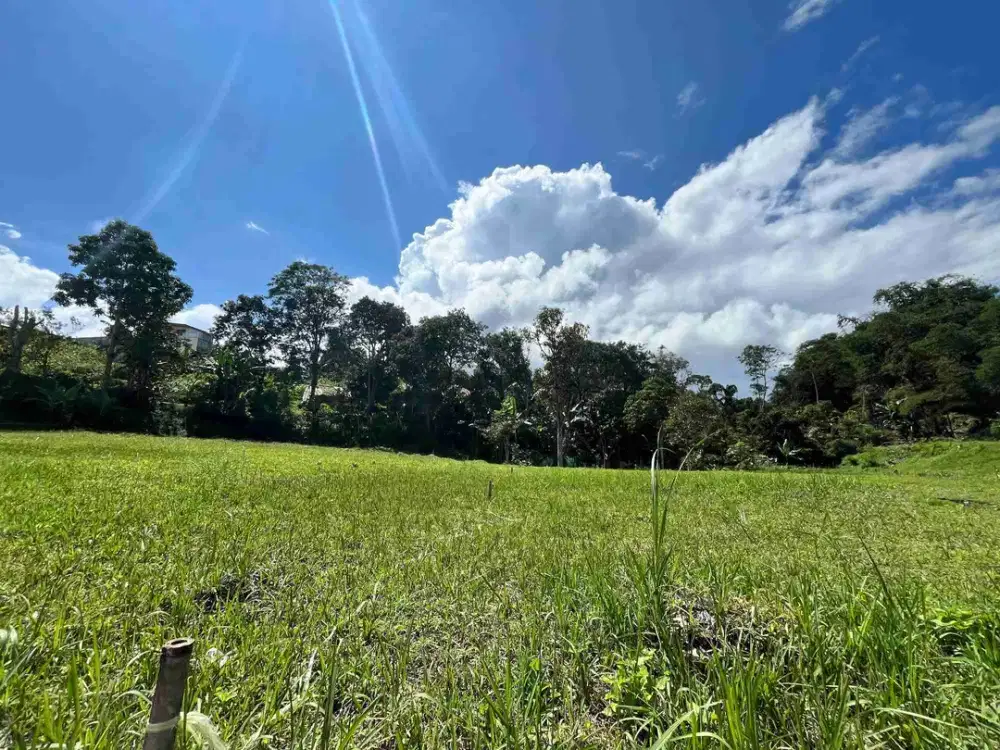 Tanah Dijual Siap Bangun Di Puncak Bogor