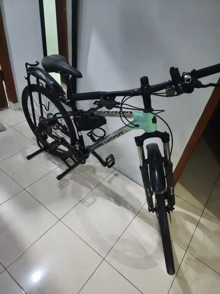 Polygon Xtrada V uk. M