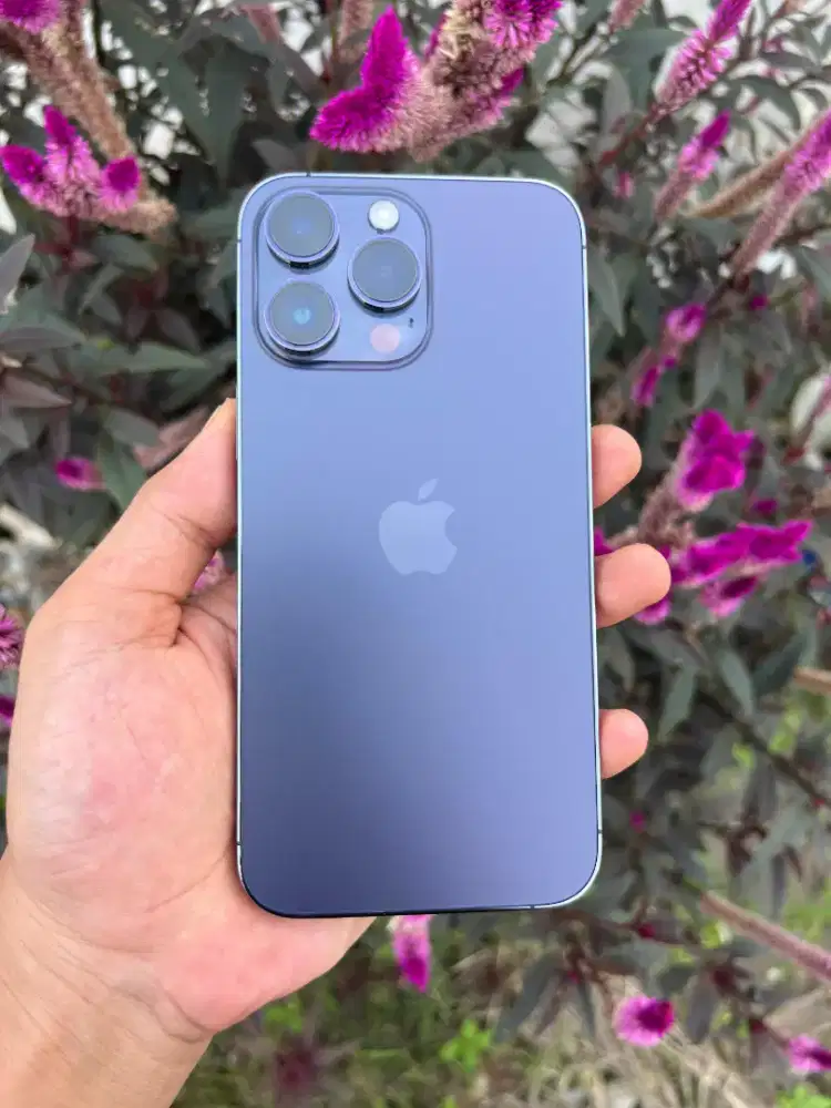 iPhone 14 Promax 256gb beacukai