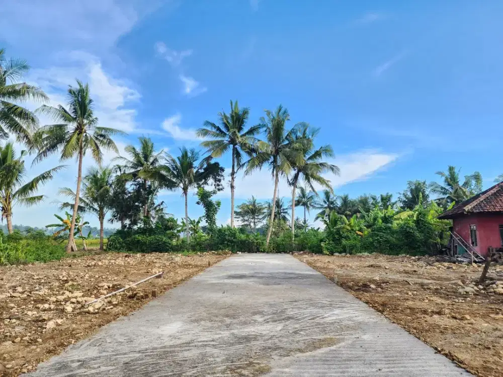 SIAP AJB! Tanah Murah Jogja Dekat Bandara YIA