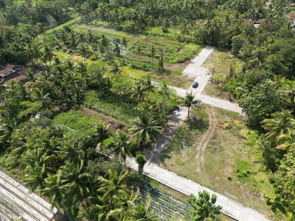 Tanah Dekat Bandara YIA dan Terminal Wates di Wates
