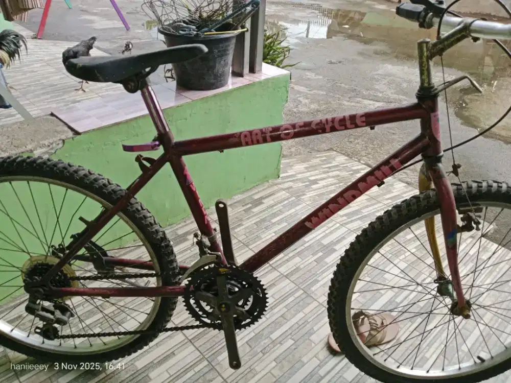 Sepeda MTB federal uk 24