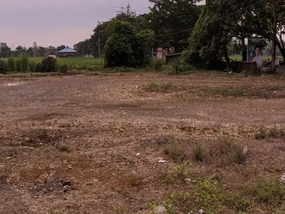 Tanah Luas Murah Lokasi Strategis Cocok untuk Gudang Winongan Pasuruan