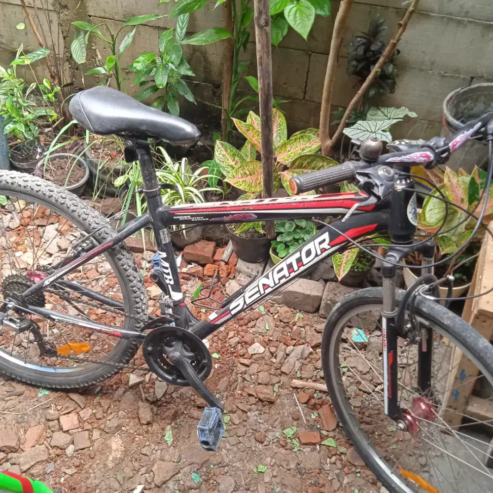 Sepeda MTB senator uk 26