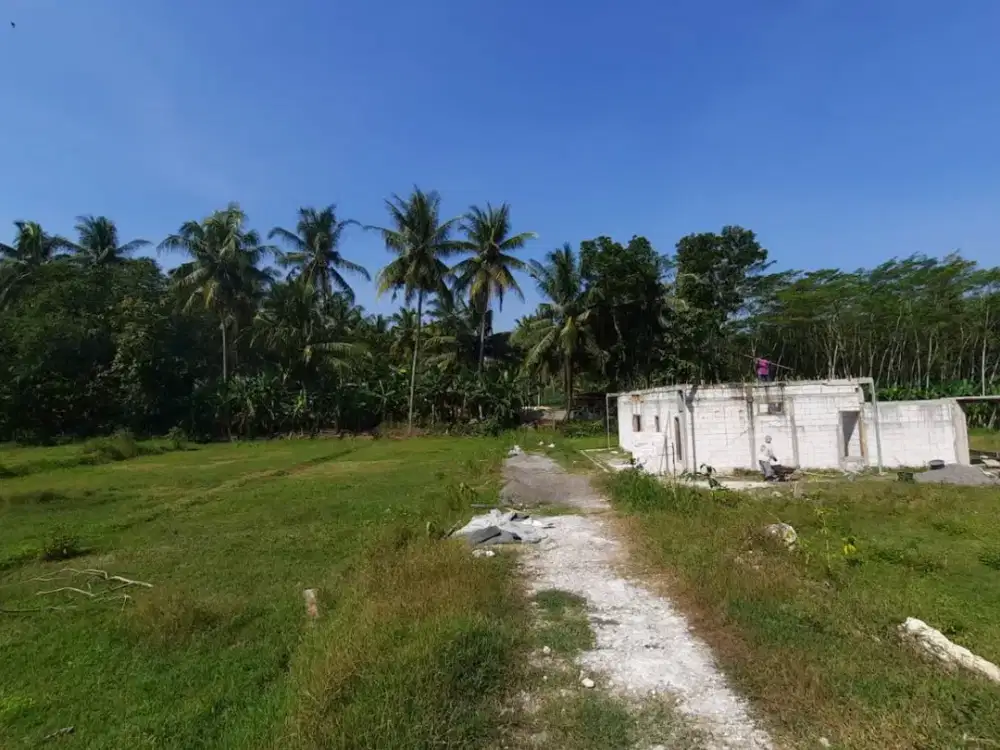 Tanah Jogja Murah Dekat Kopi Kampirono dan RS Nyi Ageng Serang