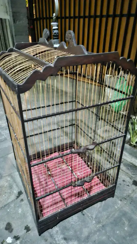 MURAH KANDANG BURUNG OCEHAN MURAI DLL