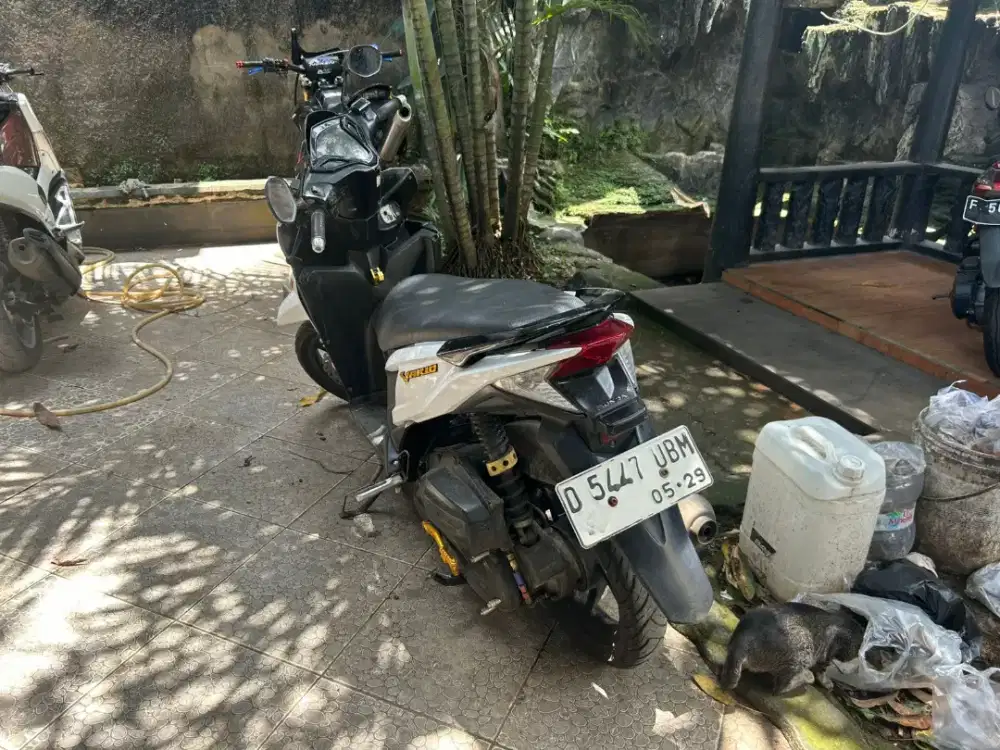 VARIO KZR 125 2014