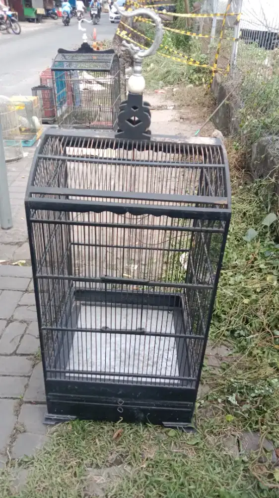 Sangkar kosan uk 50 x 50