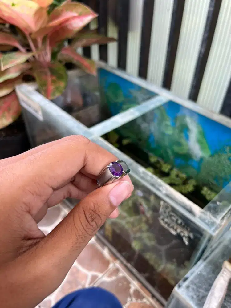 Chrome Monel Kecubung / Amethyst Deep