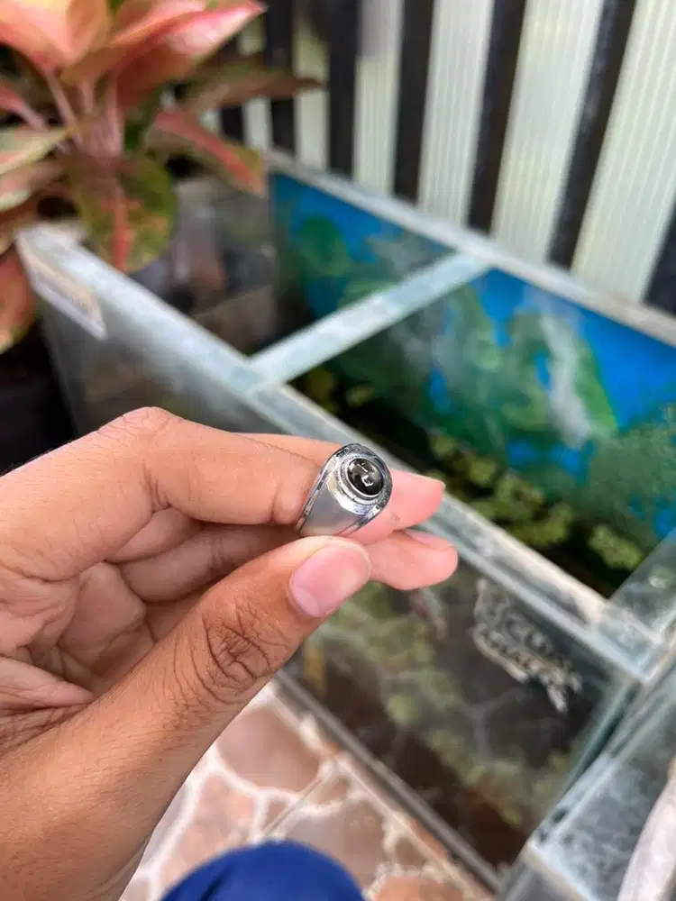 Chrome Monel Star Sapphine Thailand