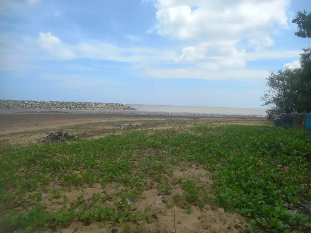 Jual rumah dan pantai