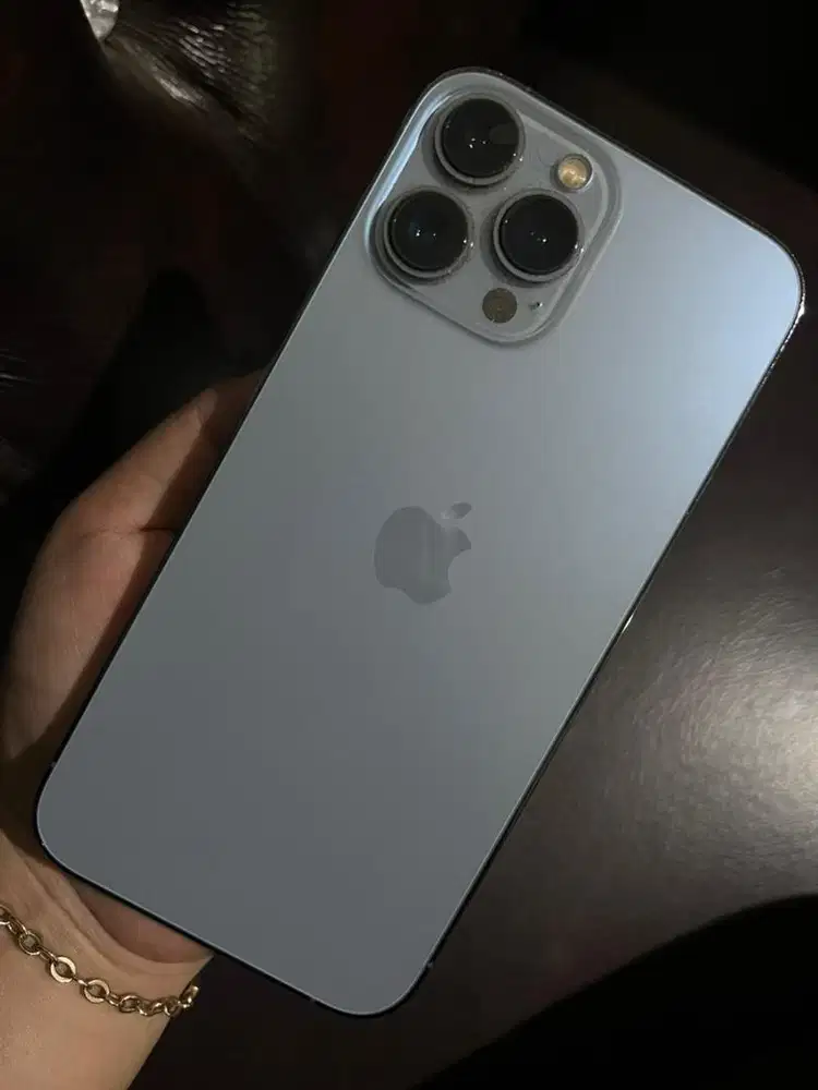 IP 13 PROMAX 256 IBOX