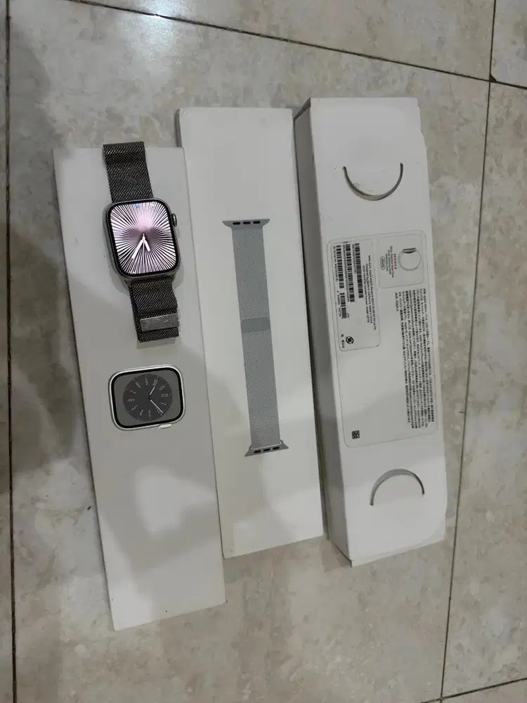 Apple Watch Series 8 Milaneseloop Stainles Steel 45MM
