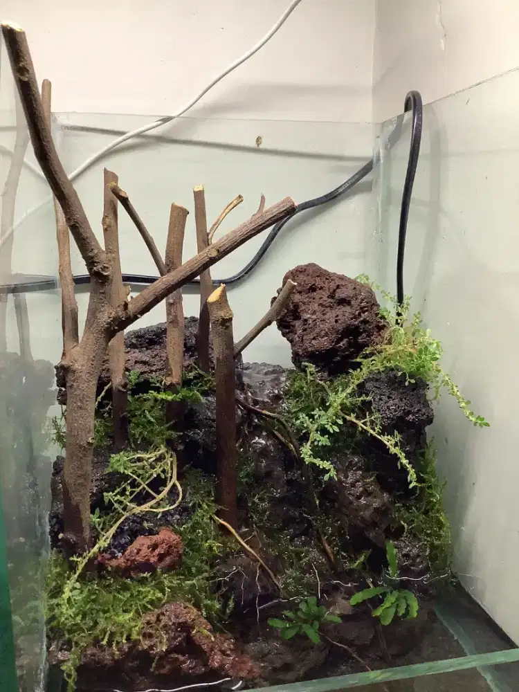 PALUDARIUM AIR TERJUN 20.20.30