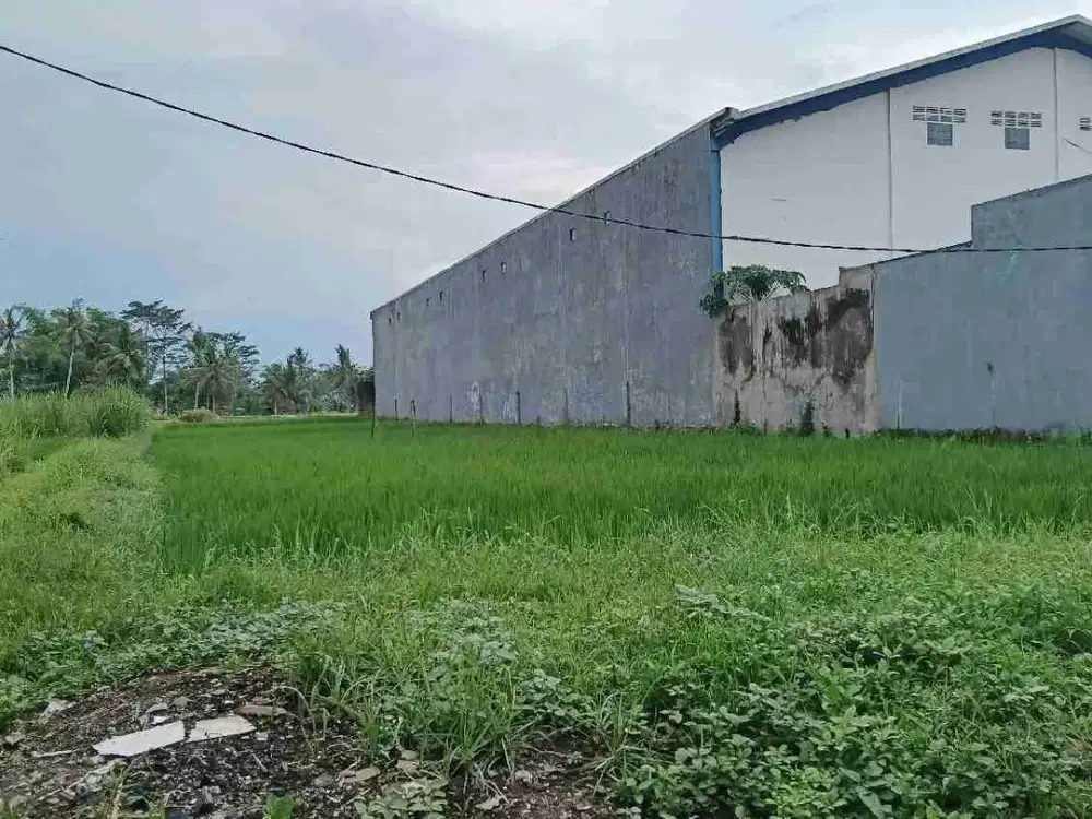 tanah murah kebonagung pakisaji poros jalan provinsi