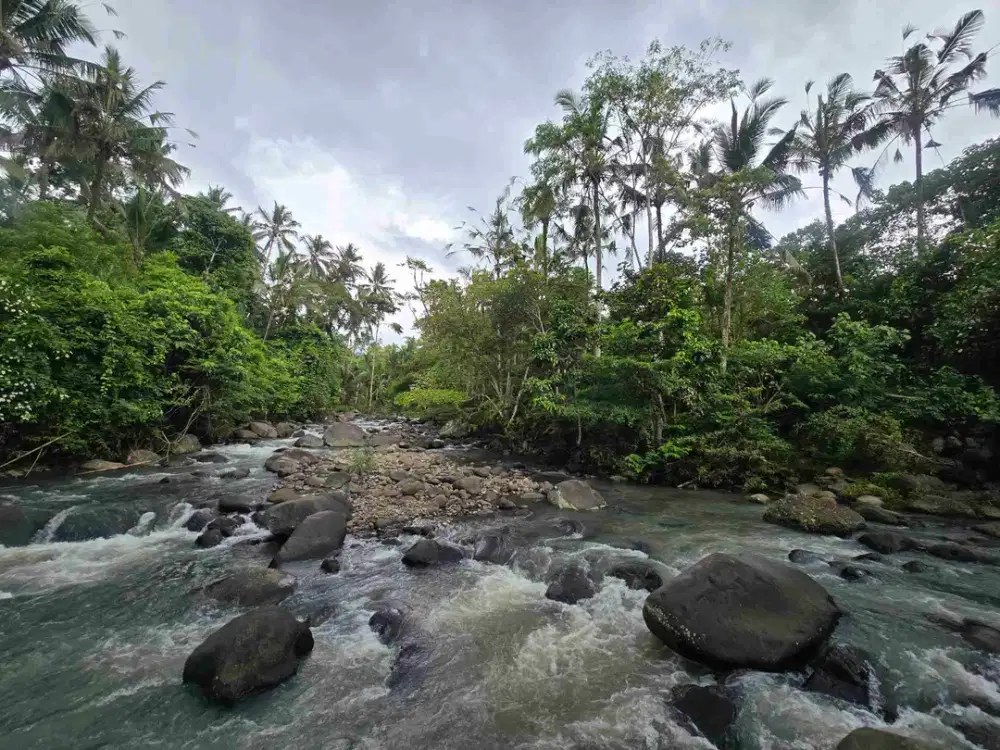 Dijual tanah dengan sungai air jernih di bali