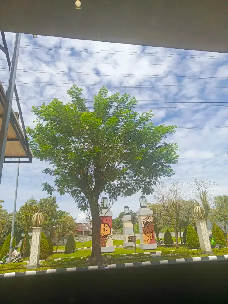 Dicari ART PP ngurus lansia dan Toddler