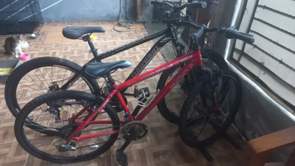 Sepeda Forward MBT 1.0 dan Wim Cycle RC-S