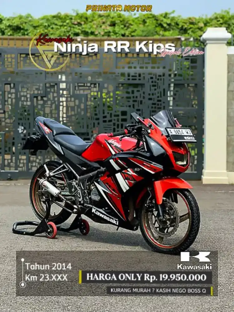 Kawasaki NINJA RR Kips 2014