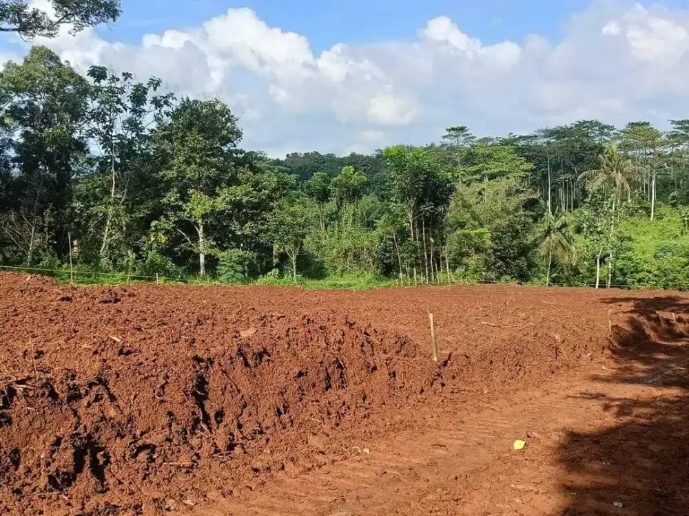 Tanah kavling murah Ngrembel gunungpati bisa di tempo