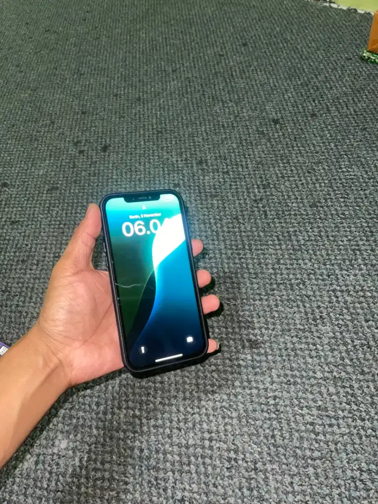 iPhone 12 Promax Ibox