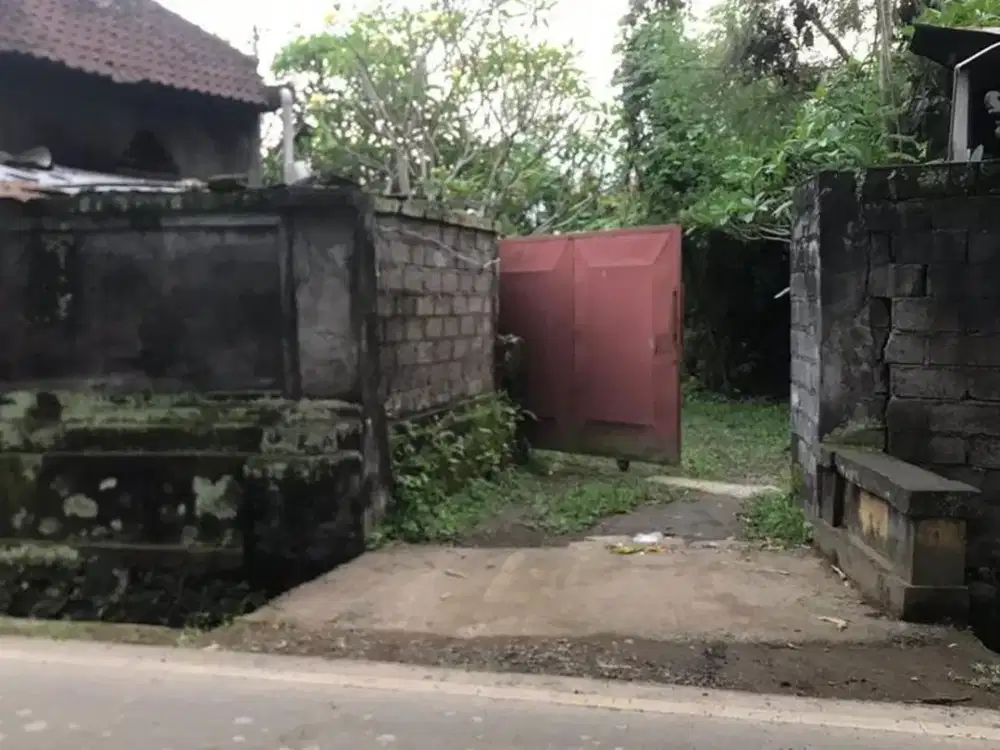 RARE! 2,450 Sqm Freehold Land for Sale With Views Of Rice Field on Sayan Main Road, Ubud